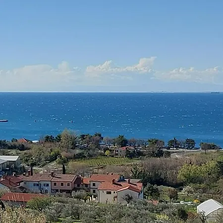 Winehouse With Seaview Gregoric * Izola