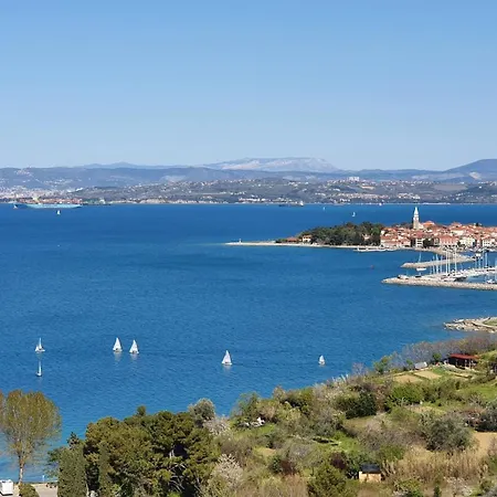 Winehouse With Seaview Gregoric Apartment *