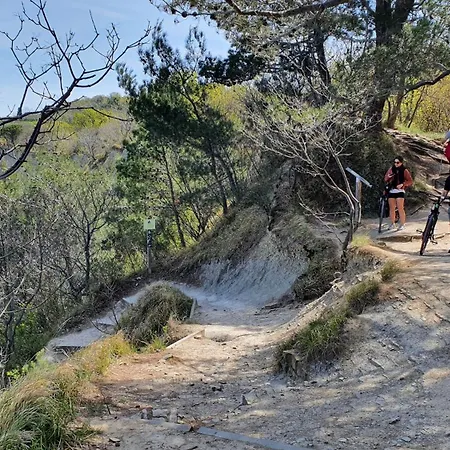 Winehouse With Seaview Gregoric Apartment