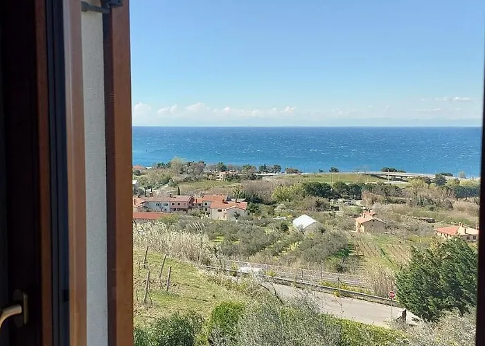 Winehouse With Seaview Gregoric *