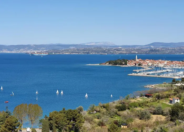 Winehouse With Seaview Gregoric Daire *