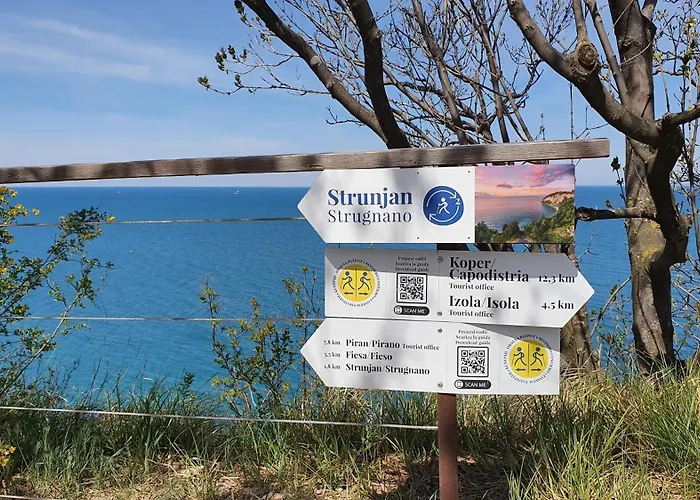 Winehouse With Seaview Gregoric Daire