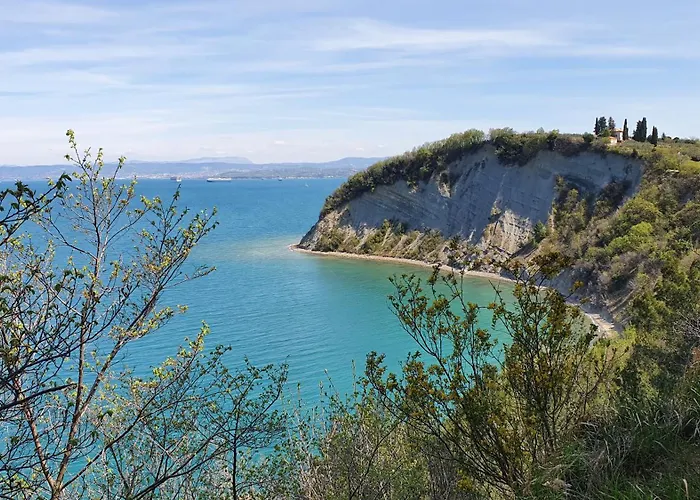 Winehouse With Seaview Gregoric Daire *