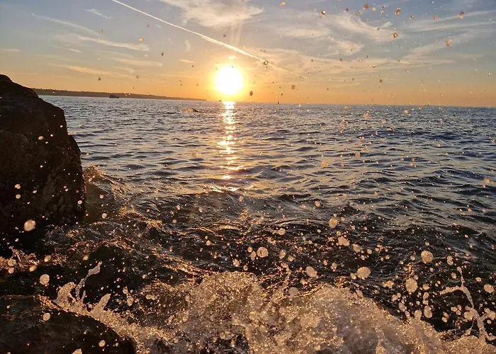 Winehouse With Seaview Gregoric Daire *