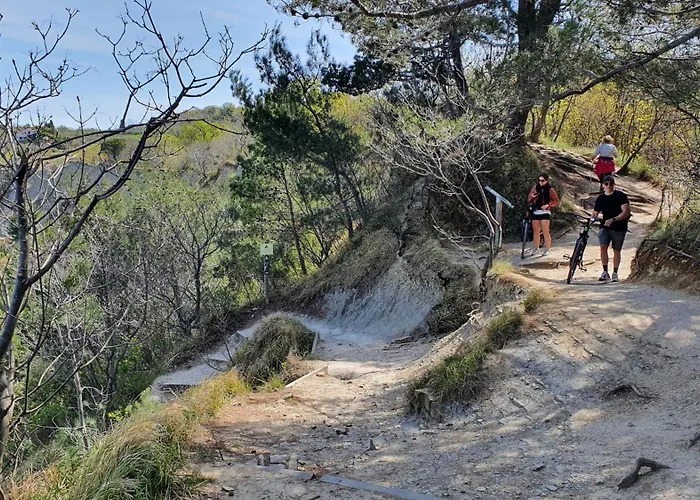 Winehouse With Seaview Gregoric Daire